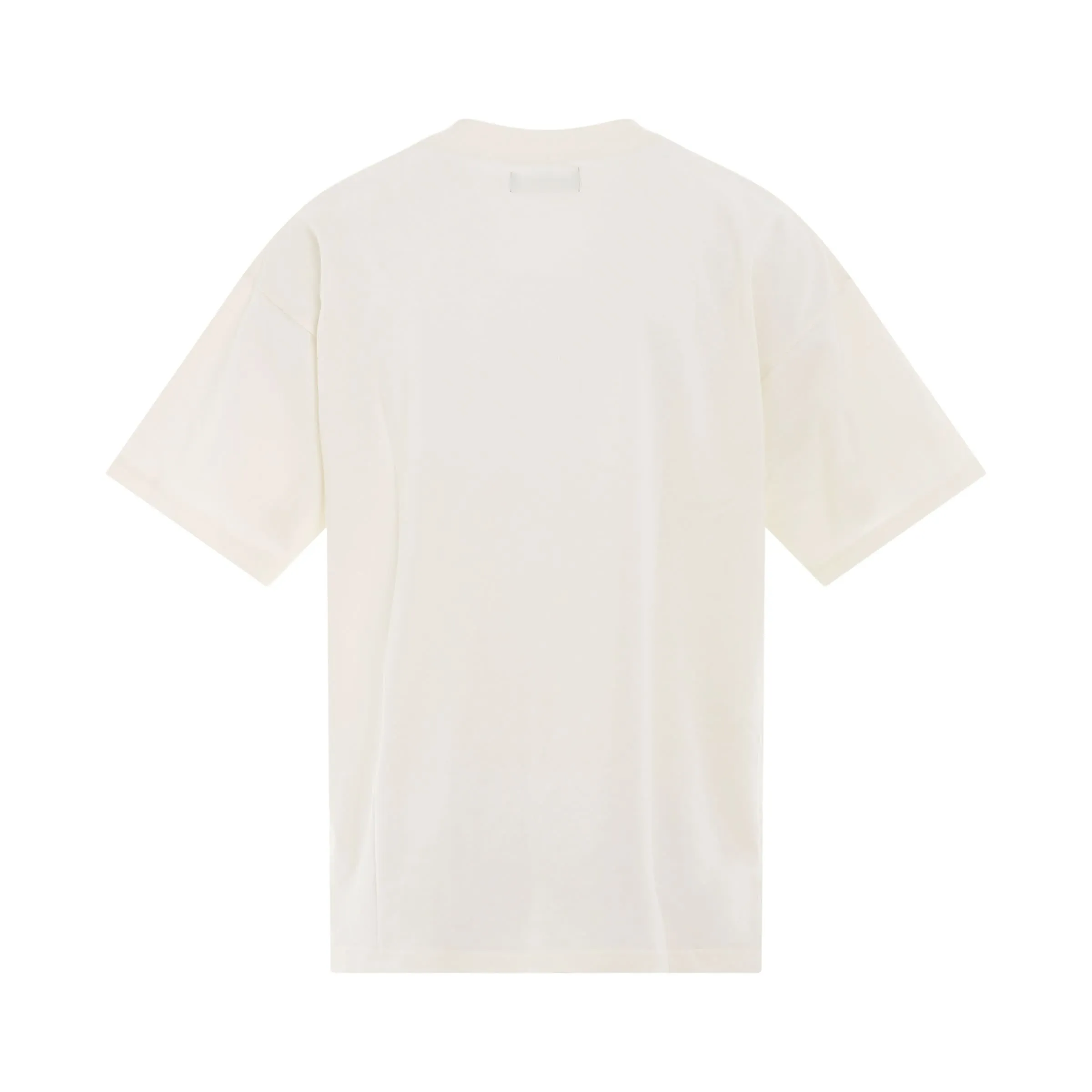 Double Distilled T-Shirt in Flat White